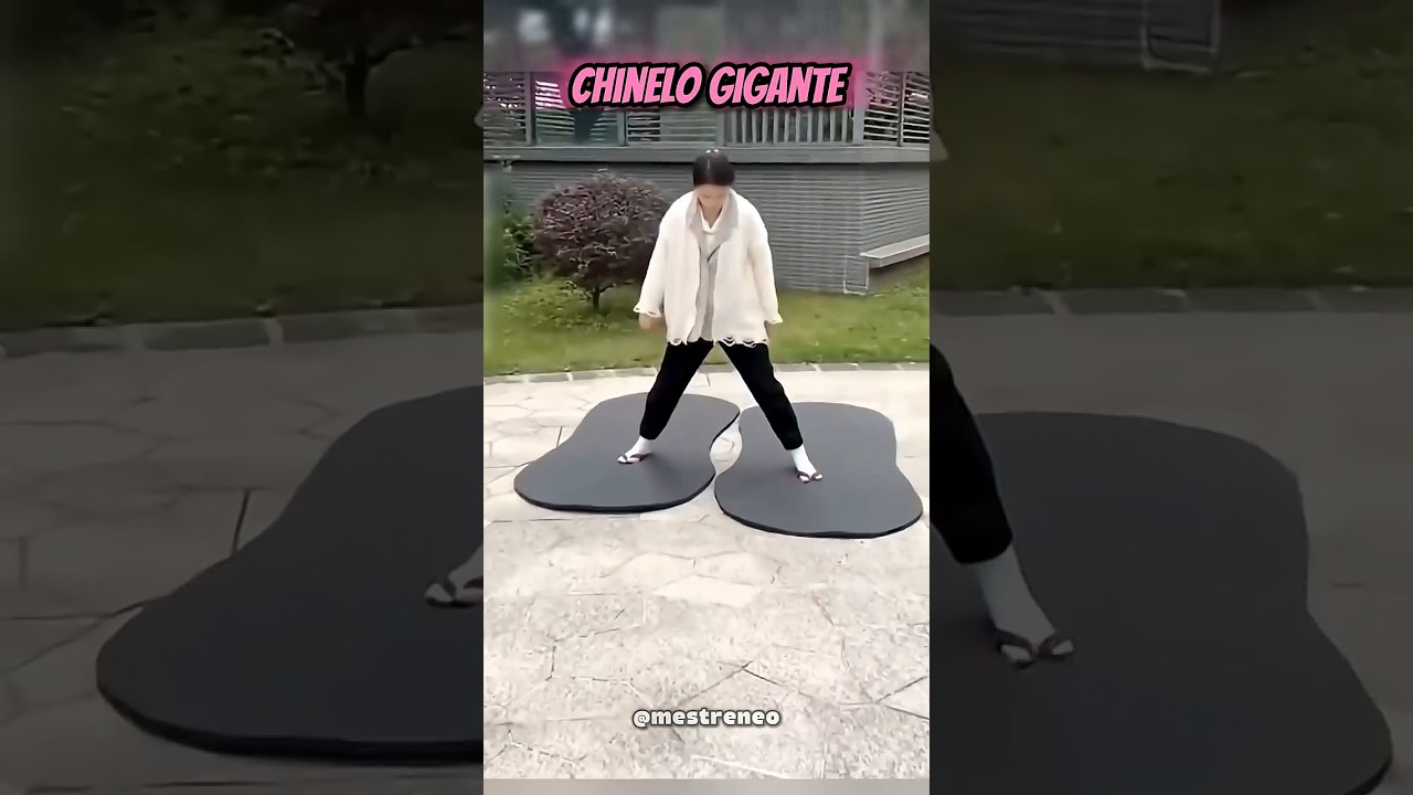 QUAL TÊNIS VOCE USARIA NA ESCOLA? 😱 #Catsoftiktok #CatLovers #cat #cute #FunnyCats #fyp