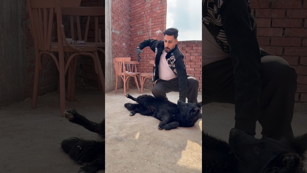 اكتشفت أنها حامل بطرقه غريبه | والحجوج قفشني😂