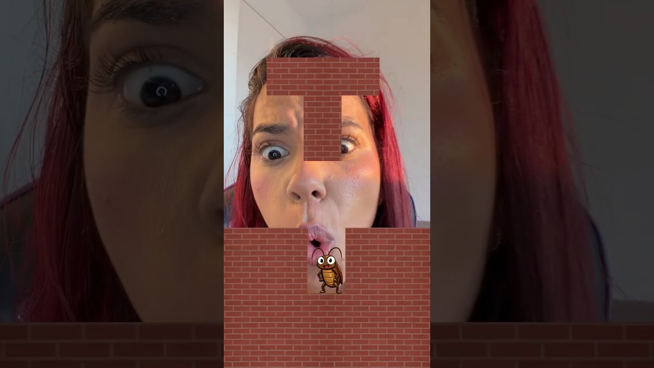 Coitada da barata