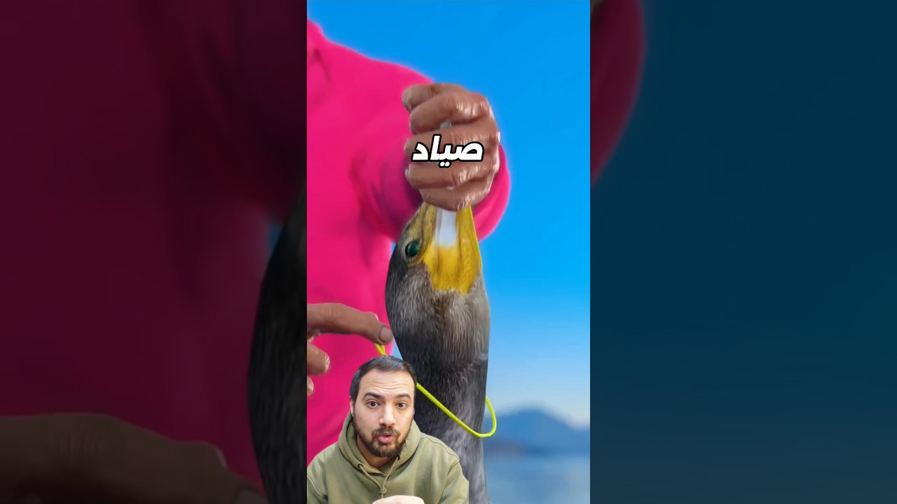 كان بينزل المياة عشان يصطاد السمك ويطلع تاني