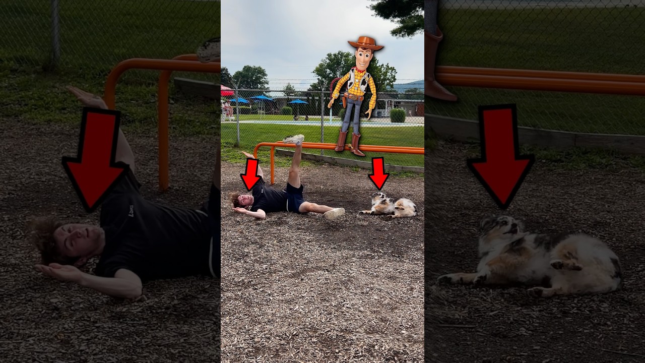 Toy Story Challenge!🪀🐕 (Dog Edition)