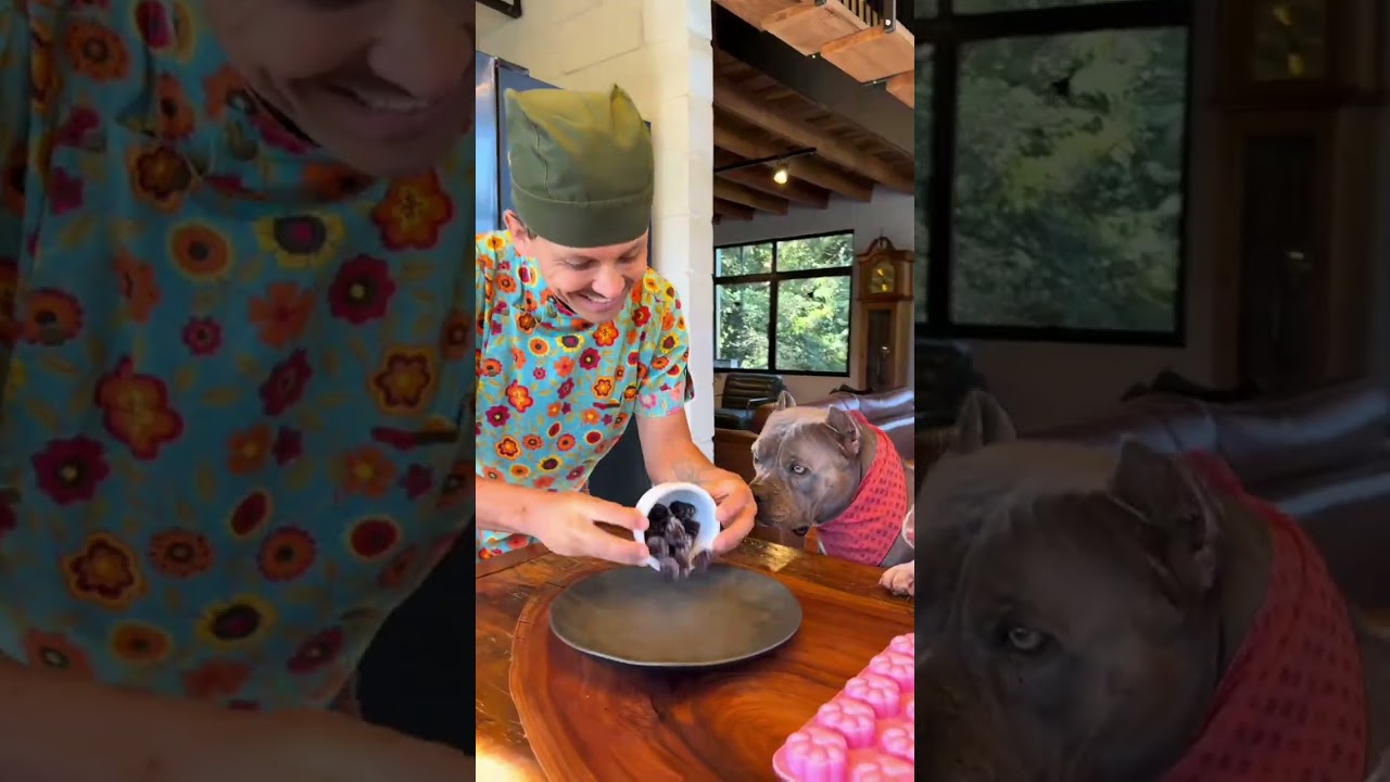 soy el perro arandero más guapo? #viral #perros #perrofeliz #dúo