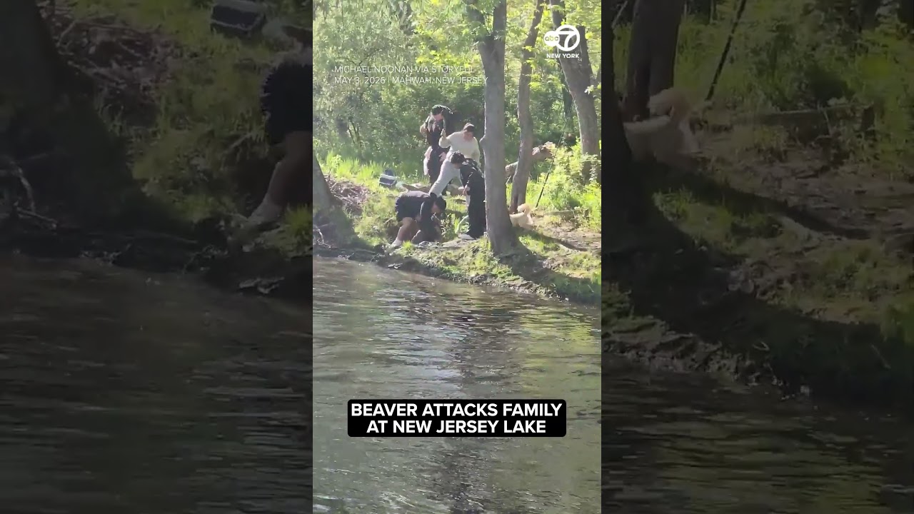 Beaver attacks family at New Jersey lake - Published by Eyewitness News ABC7NY