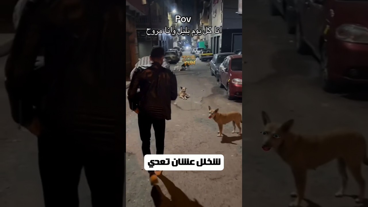 كلها بقت ماشيه بكاميرات دلوقتي #funny