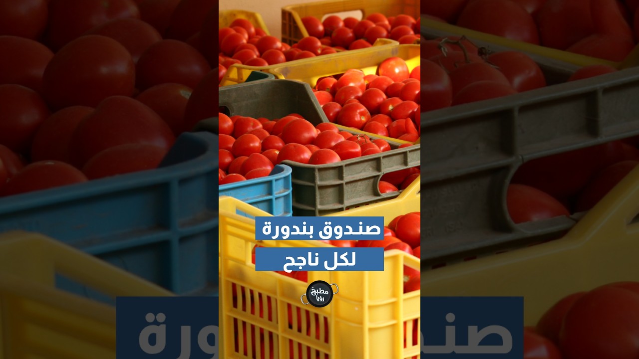 خبر متداول بين الناس عن رجل أردني قرر يوزع صندوق بندورة لكل طالب توجيهي 💫✨