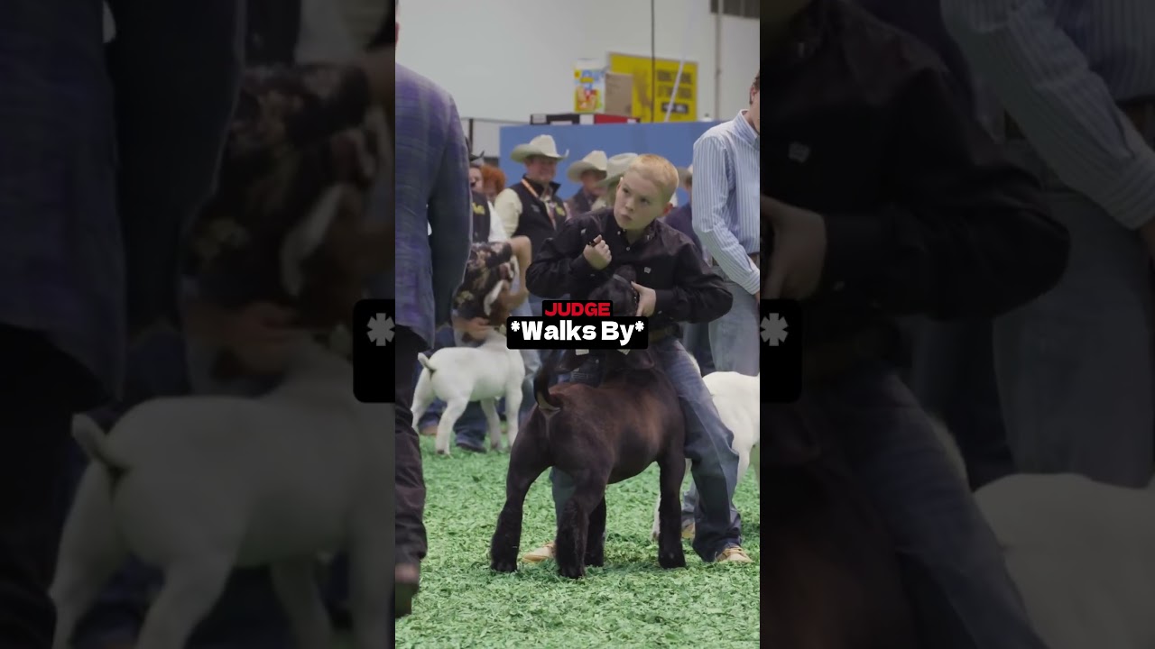 He Was So Confident😬(@rodeohouston)