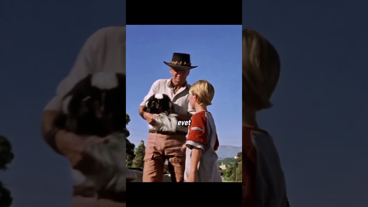 Tarihin En Absürt Yanlış Anlaşılması!