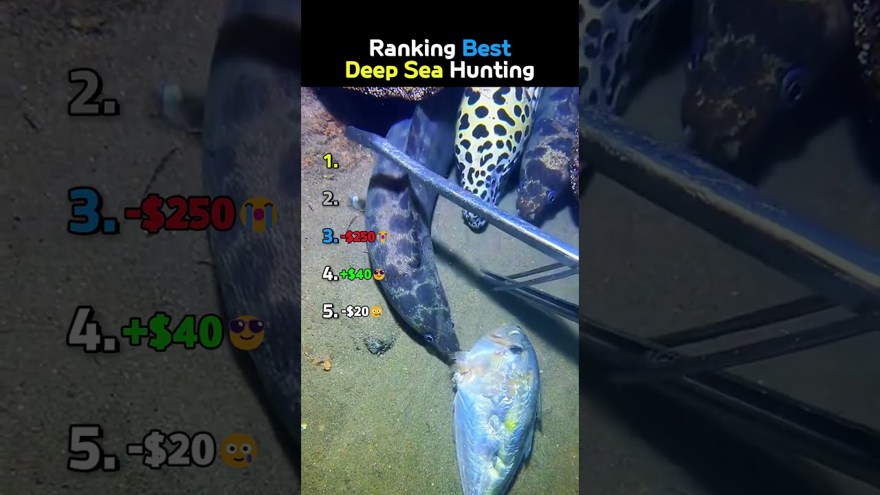 Ranking Best Deep Sea Hunting😭😭