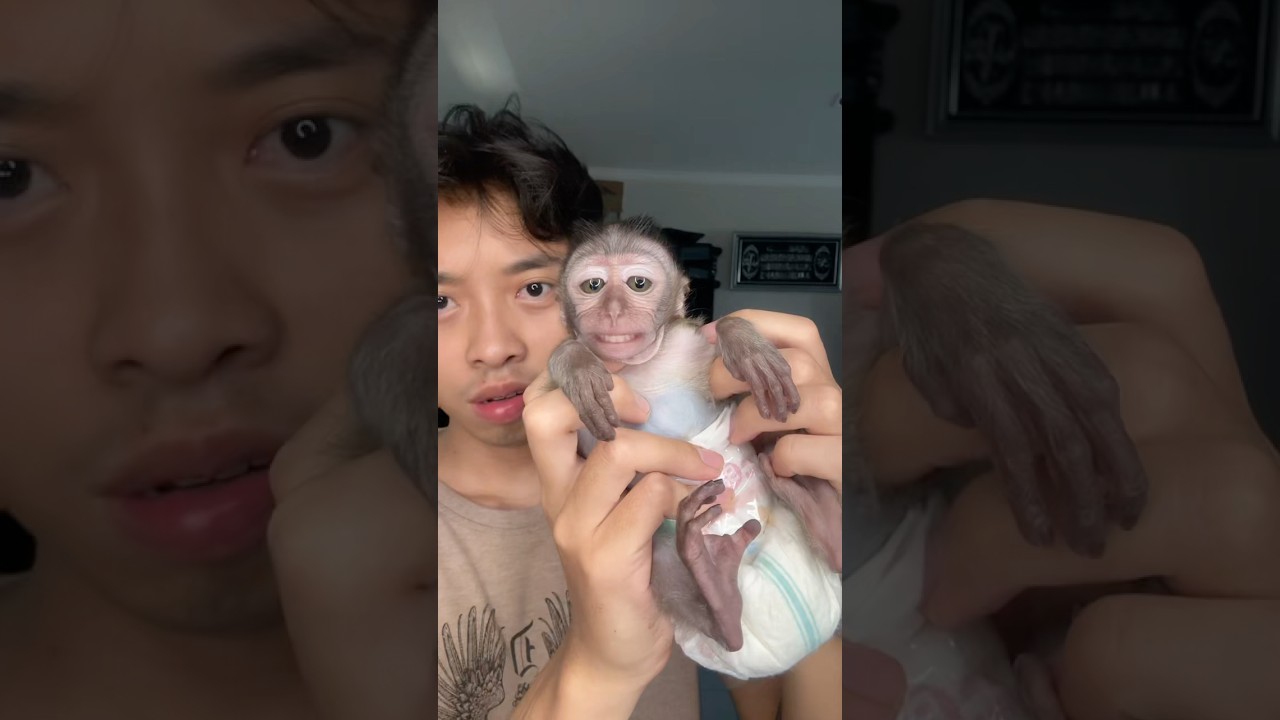 AYO AYO AYO !! #shorts