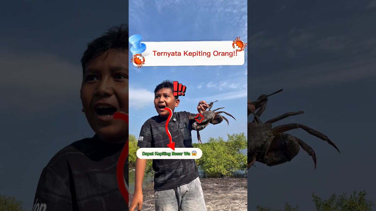 Ternyata Kepiting Orang !! #wg25 #Hiburan #go #funny #fyf #sketsa #petualangan #tambak #kepiting
