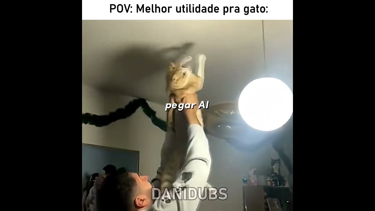 O cara descobriu a MELHOR UTILIDADE dos gatos 😅 #edit #humor #memes #fyp #animals