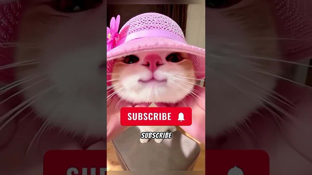 😱 Jejak Kaki Raksasa Ini Ternyata Milik Siapa? #short