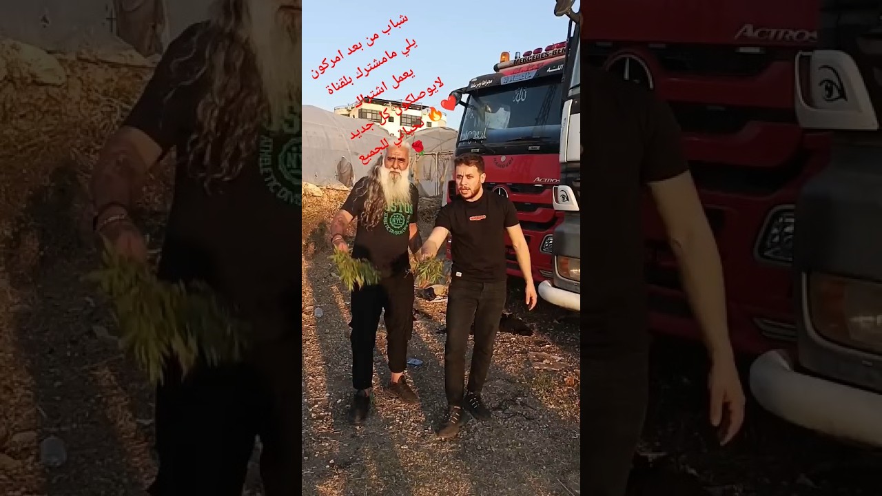 الخروف الطائر😱🤣🤣🤣#shorts #الشايبrd #funny #اهميه #comedy #humor #مضحك #mahdi_الخال #اكسبلور #viral