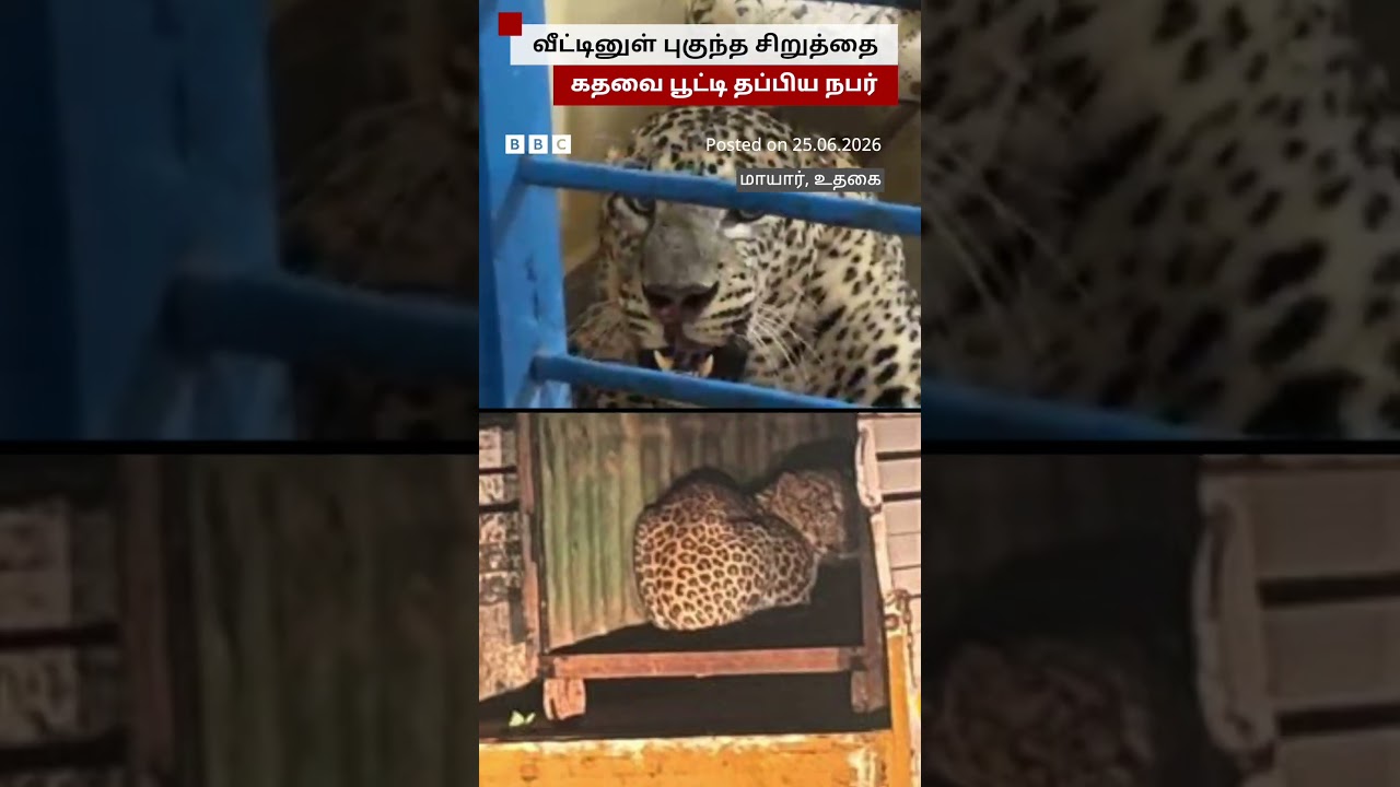 Ooty அருகே ஒரு வீட்டுக்குள் புகுந்த சிறுத்தை