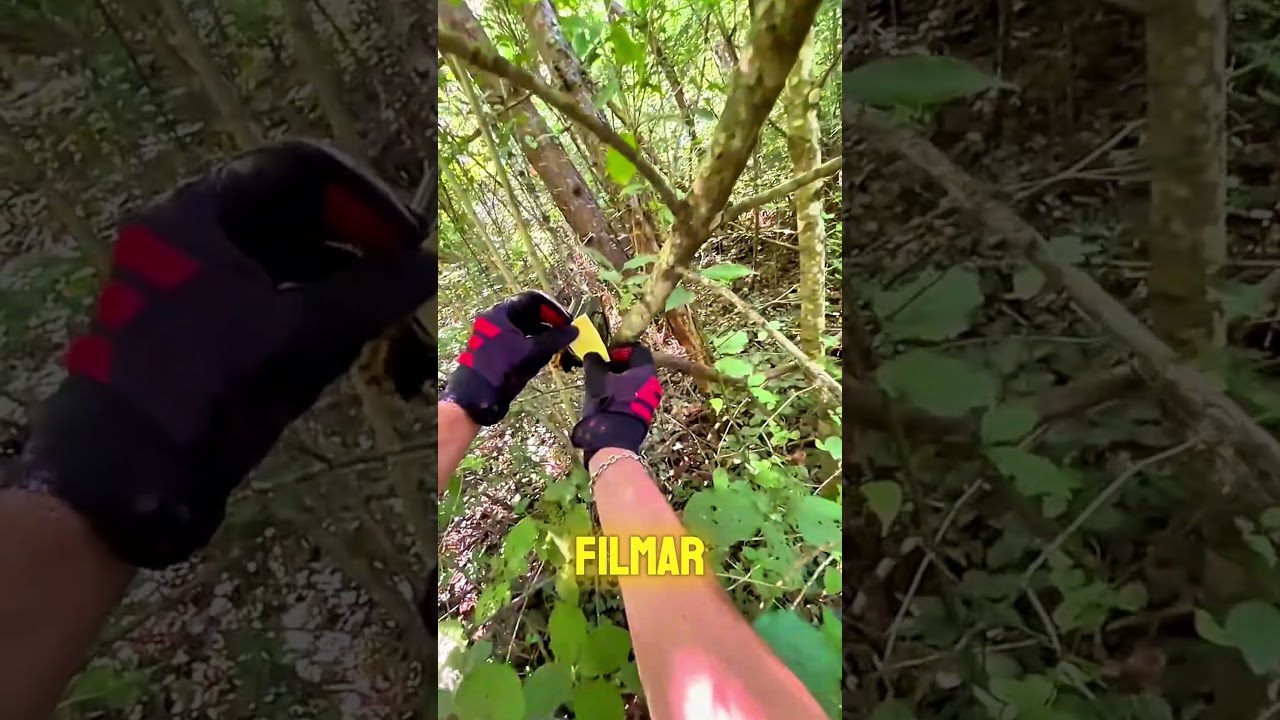 O Que Esse Motociclista Encontrou Na Floresta É Assustador.