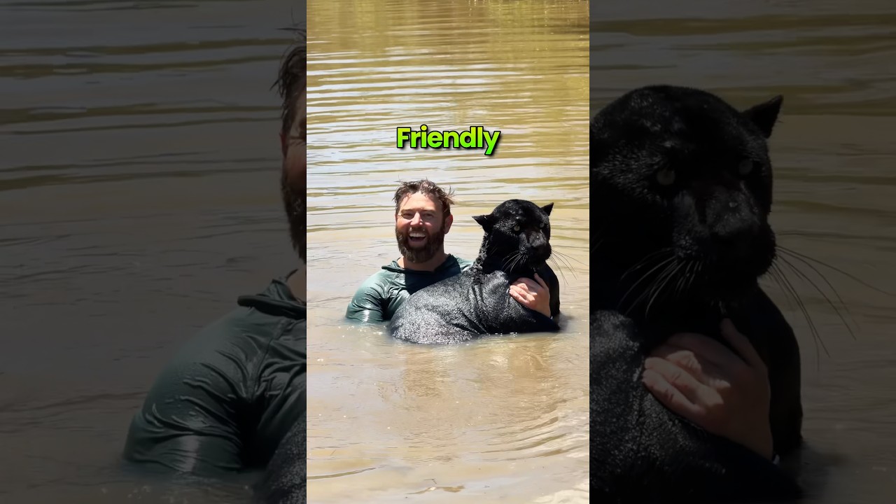 Friendly or Not Friendly?