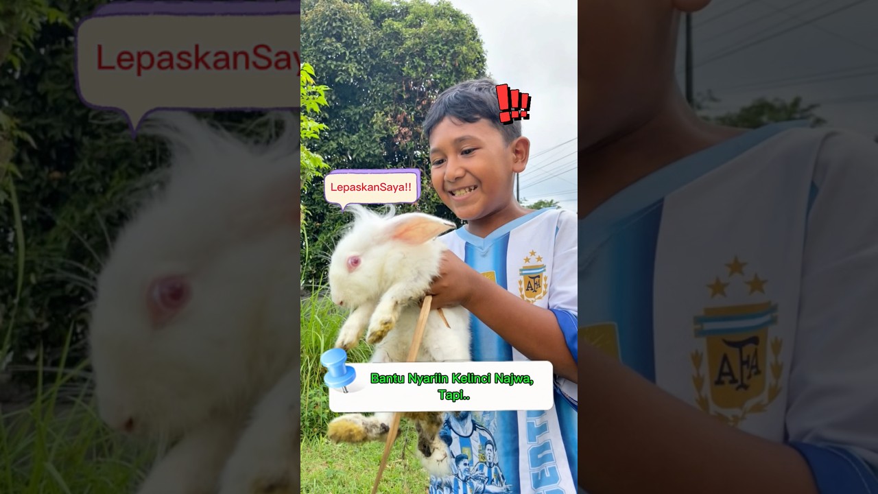 Bantu nyariin kelinci Najwa, Tapi …🤤 #wg25 #Hiburan #go #funny #fyf #sketsakomedi #bocah #petualang