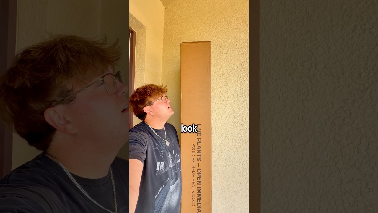 I Finally Redeemed The Viral Rainbow Tree - Published by Kyle Krueger