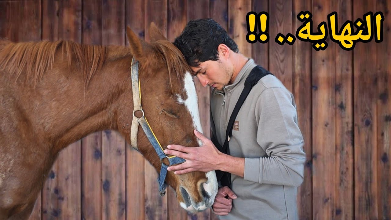 النهاية ... 😣