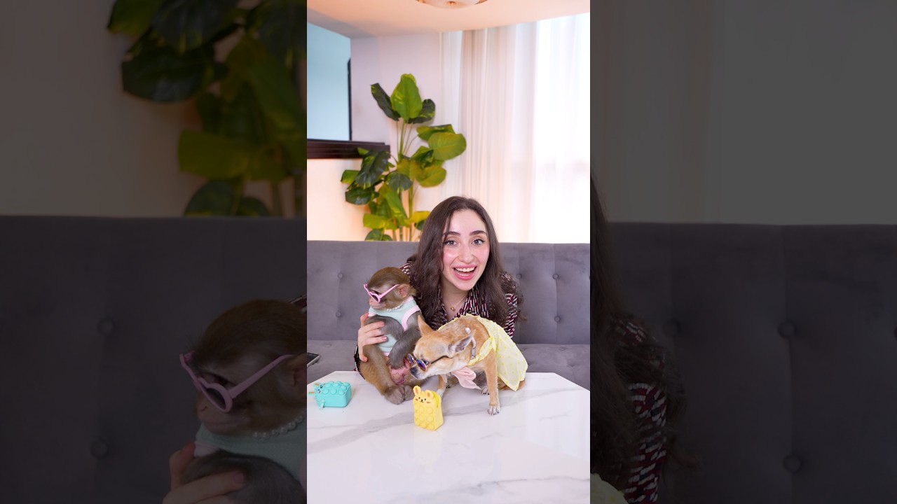 اخدت نوغا وردة يلعبو العاب العيد