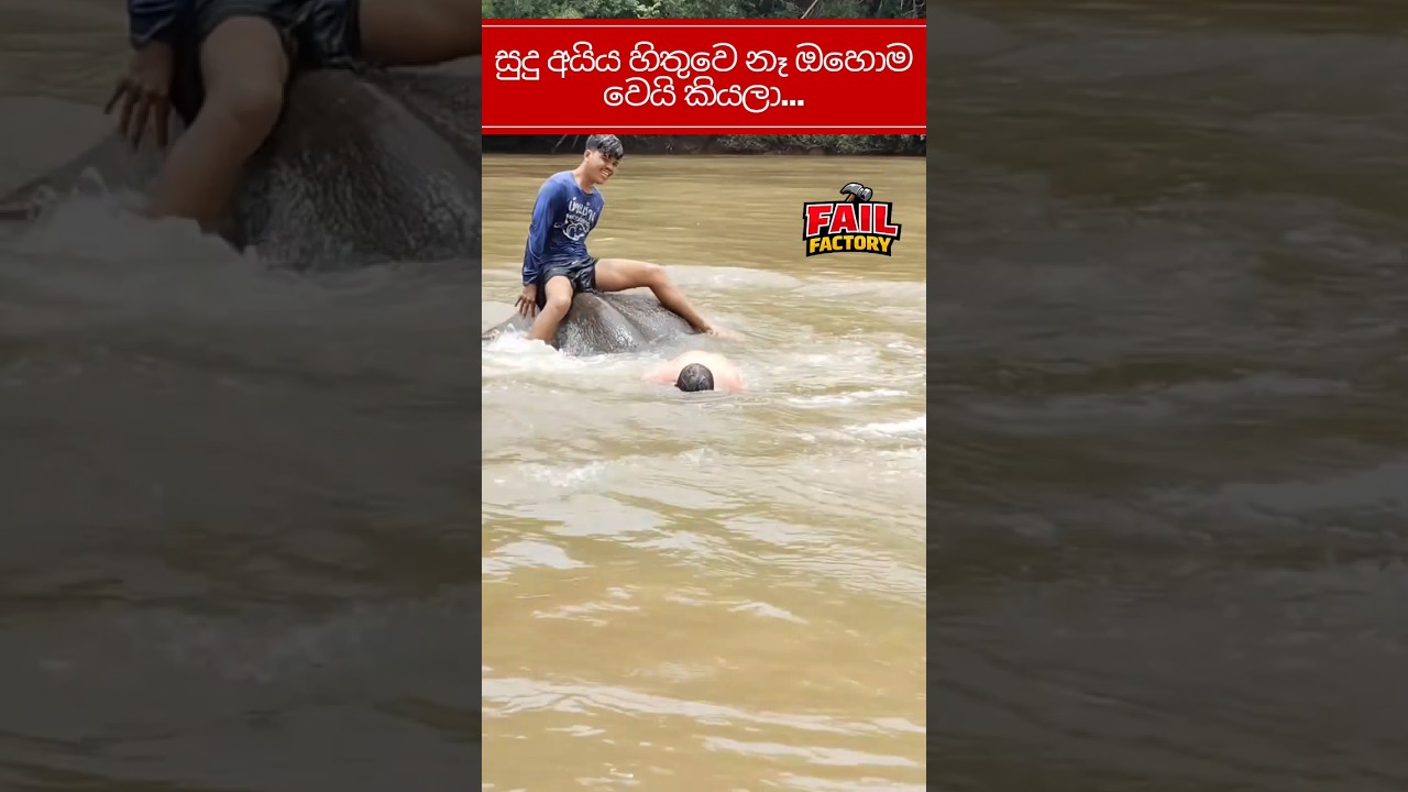 සුදු අයියට මොකද උනේ..😮🔥