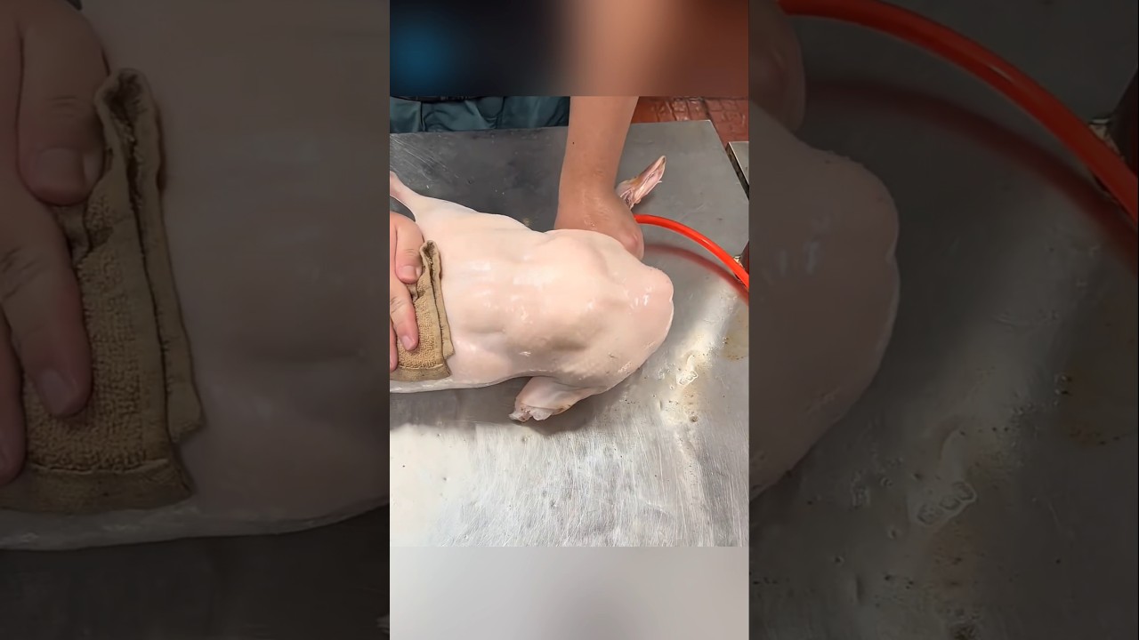 வாத்து கறியில் ஏன் காற்று அடைக்கிறார்கள் !!