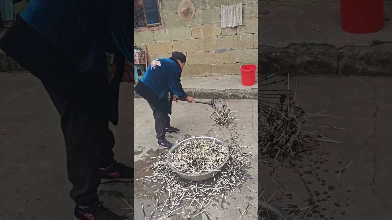 اتضح أن أشواك النيص يمكن استخدامها في الصيد 😯