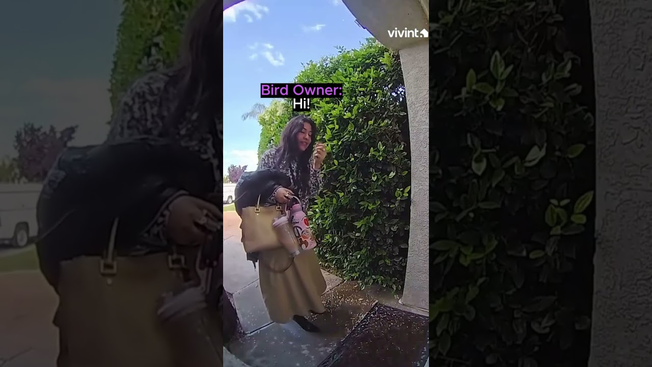 Homeowner Catches Escaped Bird!