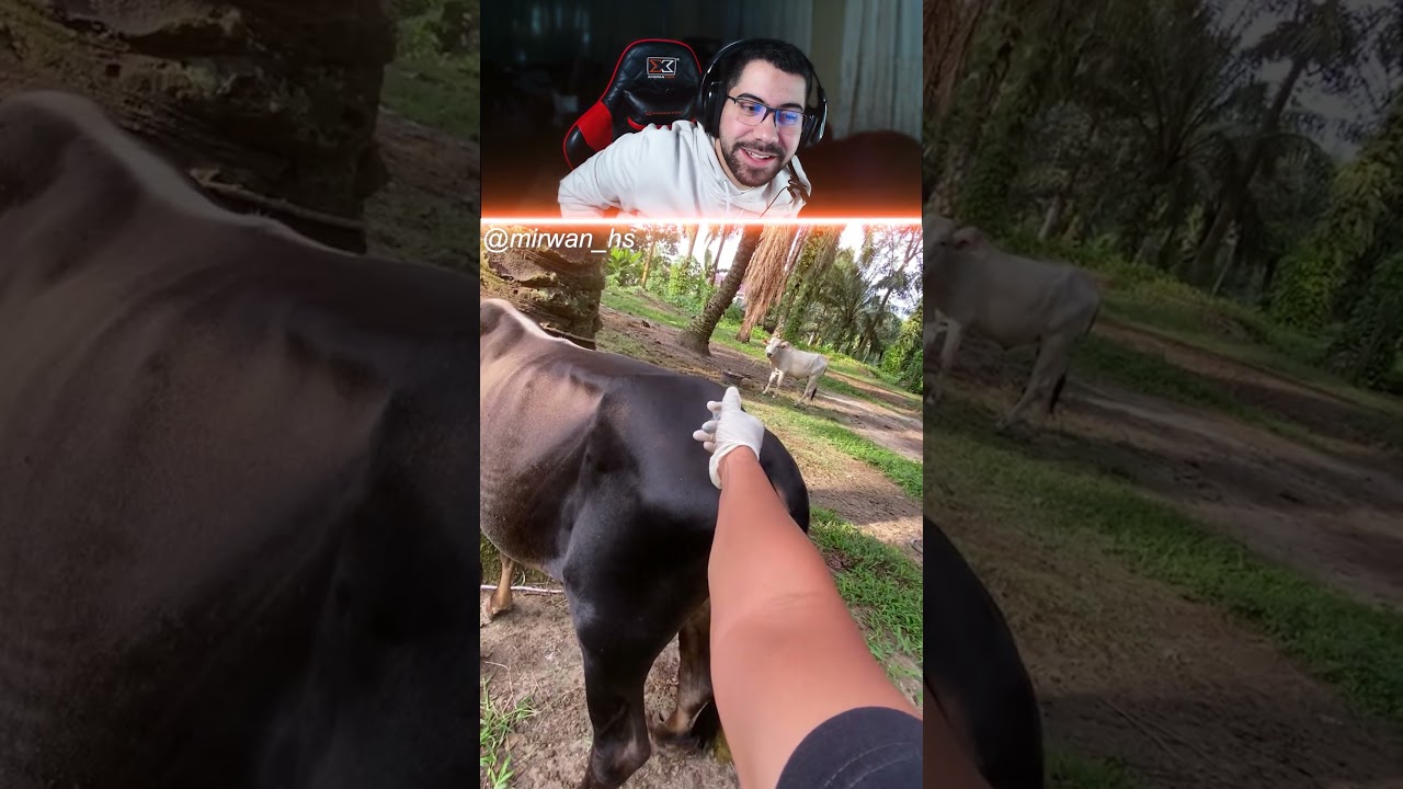 خايف عالزلمة ما ياكل لبطة 😂