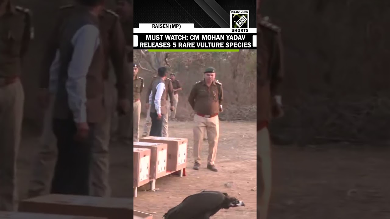 WATCH: CM Mohan Yadav releases 5 rare vulture species in Halali Dam of Raisen district
