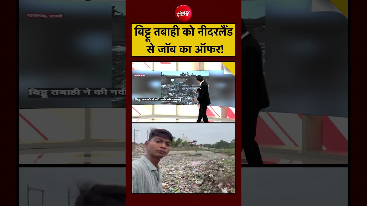Syed Suhail | Bittu Tabahi News: बिट्टू तबाही को नीदरलैंड से जॉब का ऑफर!?| #shorts