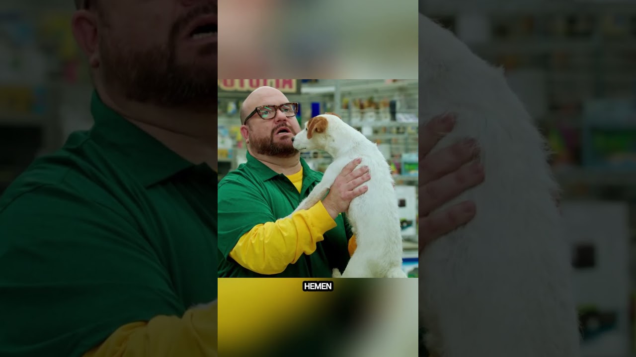 Kimsenin Sahiplenmek İstemediği Yavru Köpek Şampiyon Güreşçiyi Yendi! #shorts