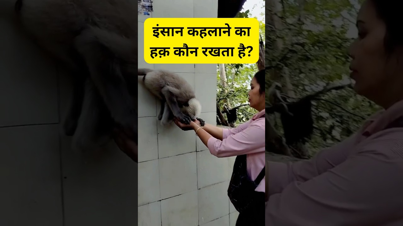 इंसान कहलाने का हक़ कौन रखता है?