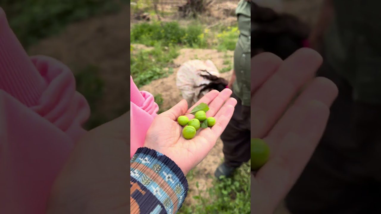 #اكسبلور #فلوجات #فلوق #vlog #نهلة_اياد #يوميات