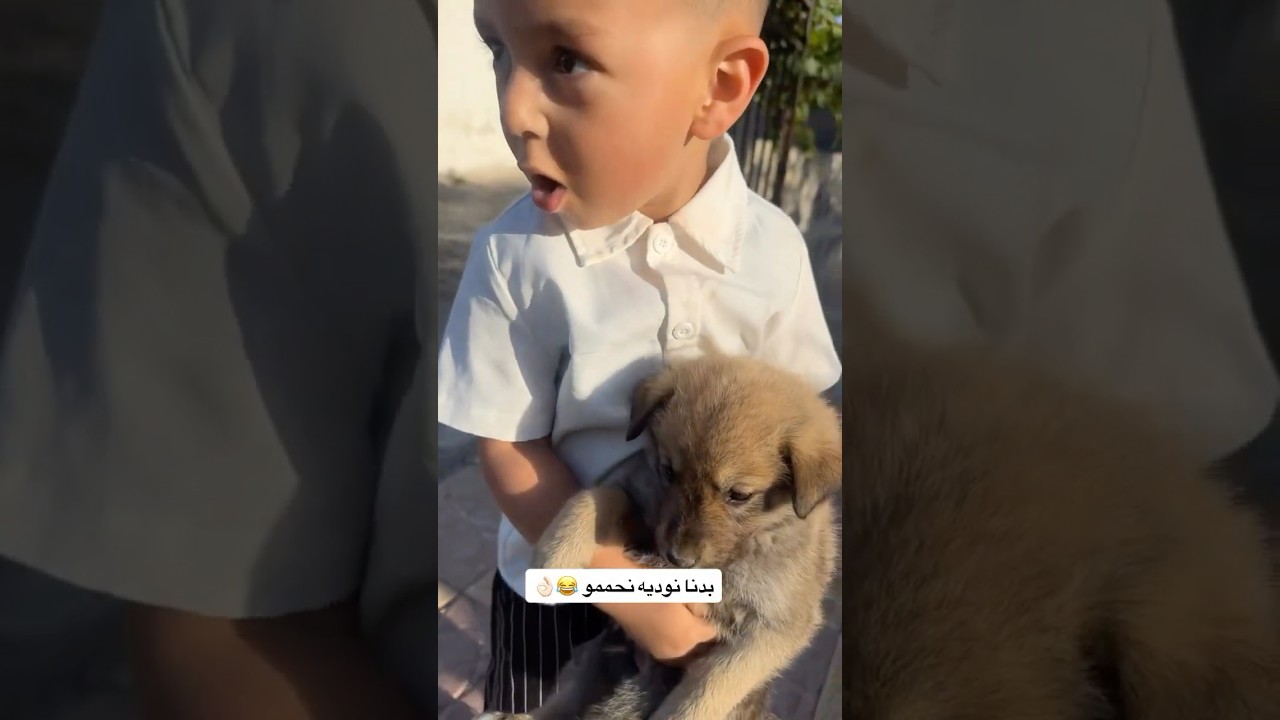 فيصل حمم الكلب ولبسة أواعي 💔😂 #اكسبلور #كوميديات #ضحك #funny #shortvideo #shorts