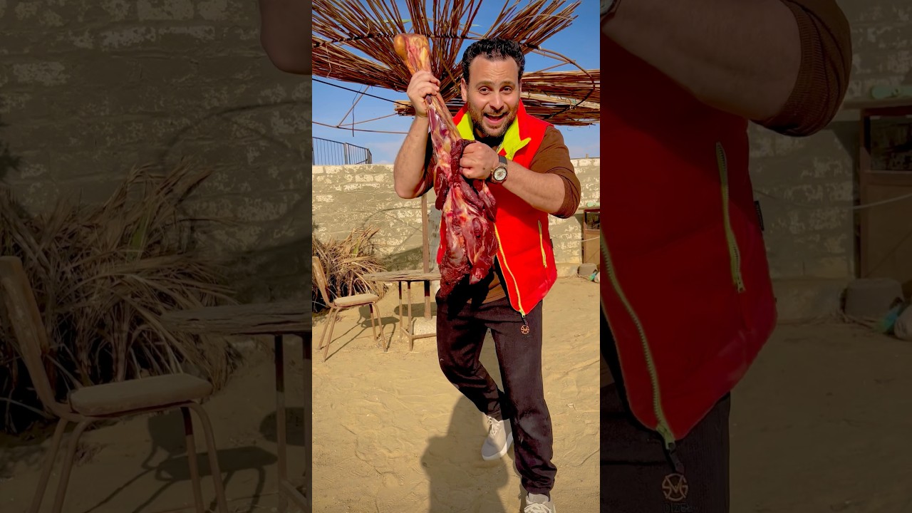 الأسد أكل اللحمة😱