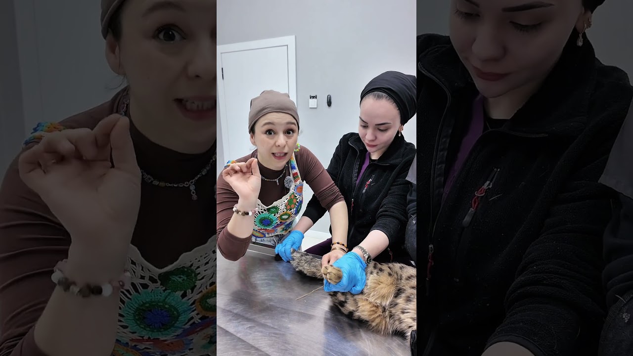 Evinizdeki İPLERE dikkat😳🧶