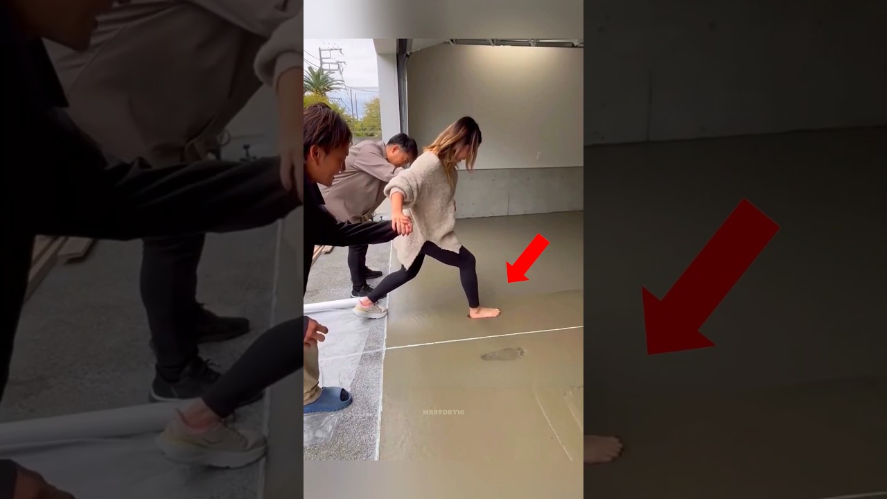 ഈ നായ പുതിയവീടിനെ മറക്കാനാവാത്തതാക്കി | #shorts