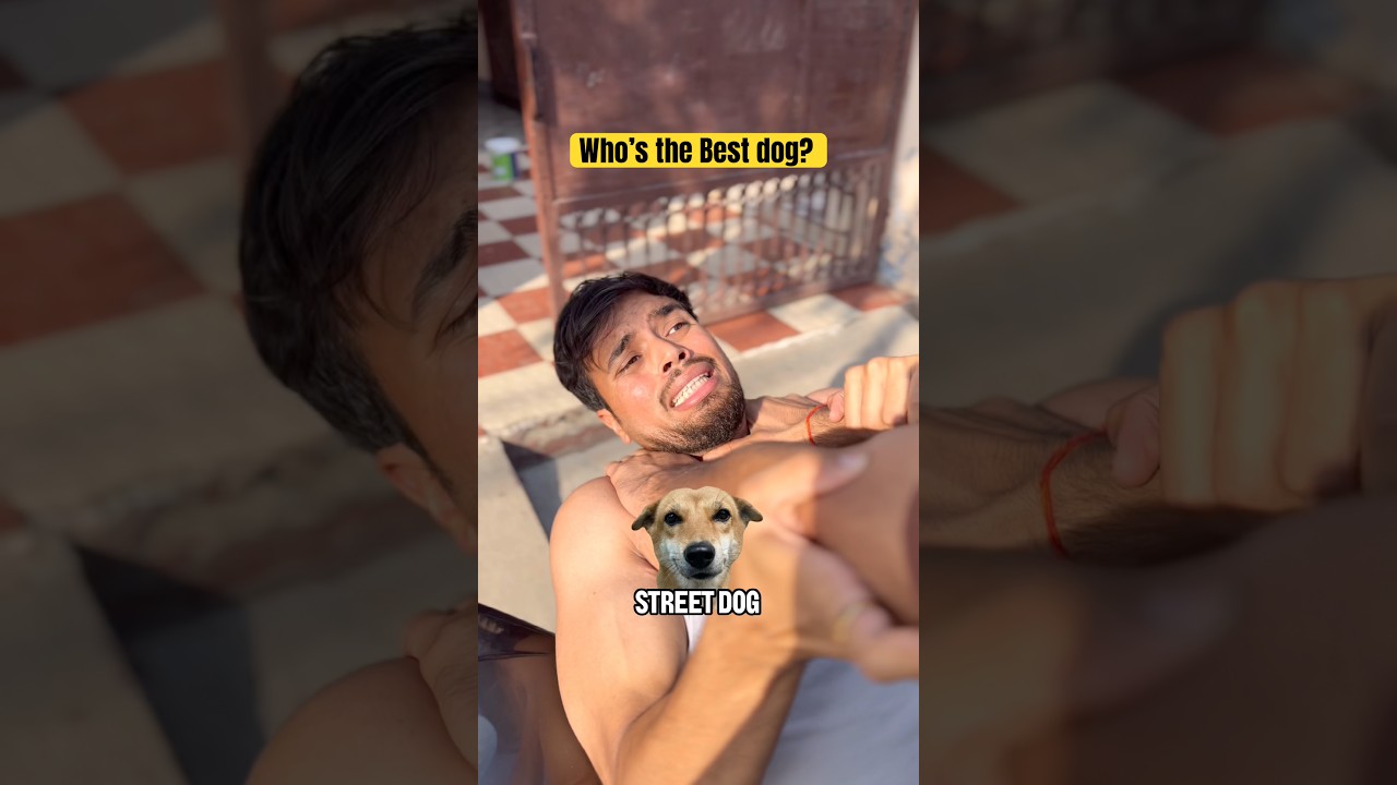 Who’s the best dog? #shorts #trending