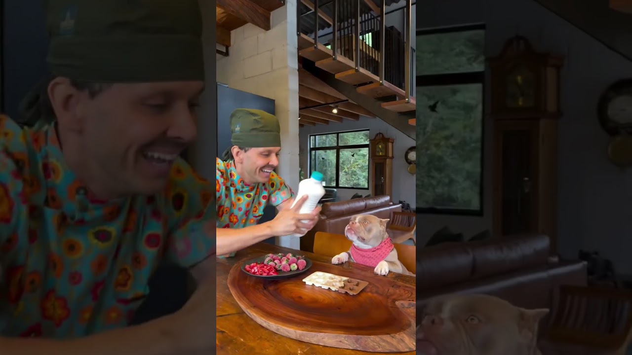 soy el perro del 1 de septiembre más guapo? #viral #perros #perrofeliz  #dúo