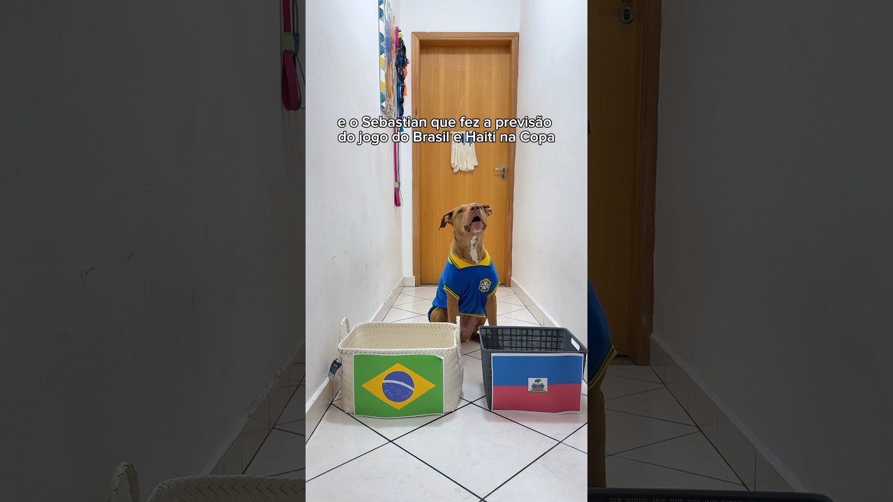 ESSE É PATRIOTA 🇧🇷 #copa2026 #seleçãobrasileira #copa #copadomundo #cachorro #pitbull #futebol