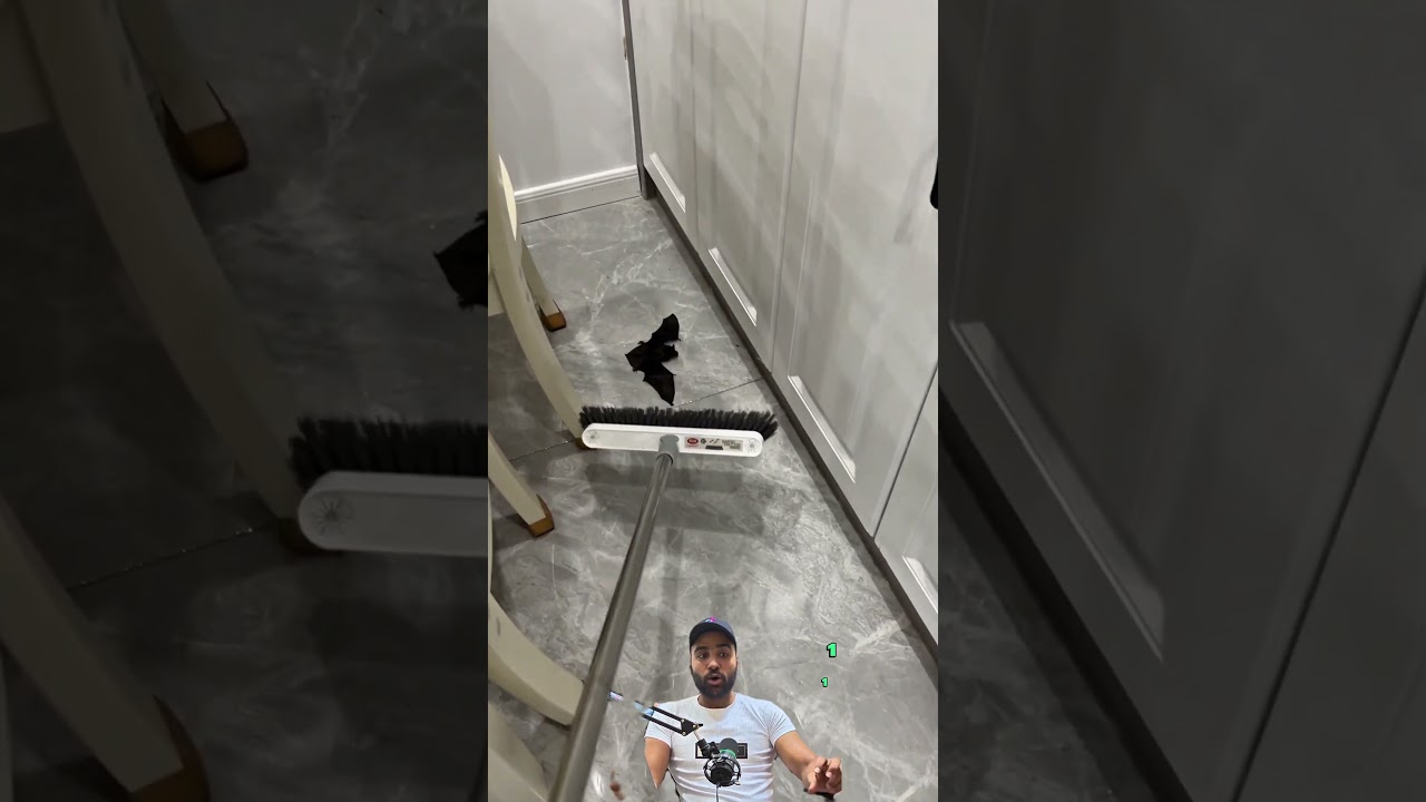 لقيت خفاش في البيت وعملت كده! 🦇😱