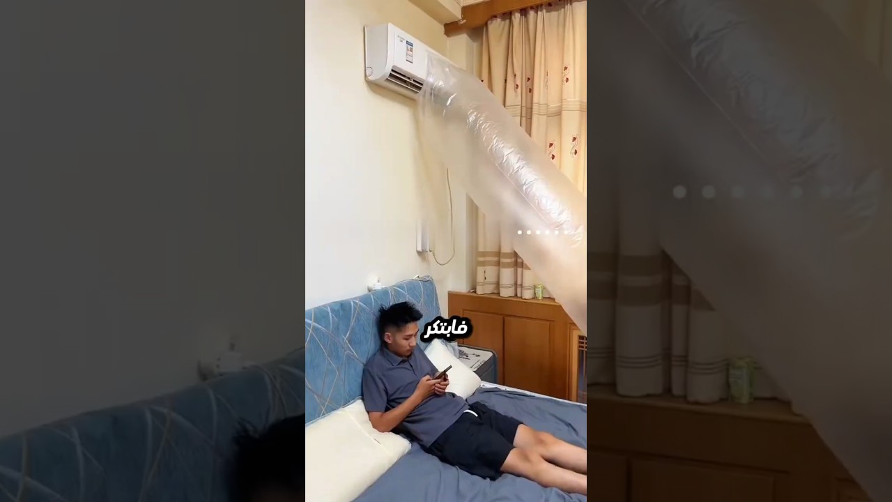 الكلب بقى عايش أحسن من صاحبه! 😂