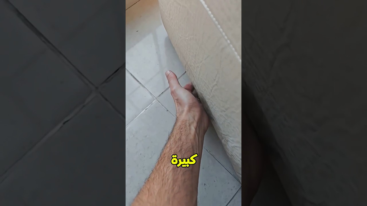 مش هتحط إيدك تحت الكنبة بعد الفيديو ده! 😱