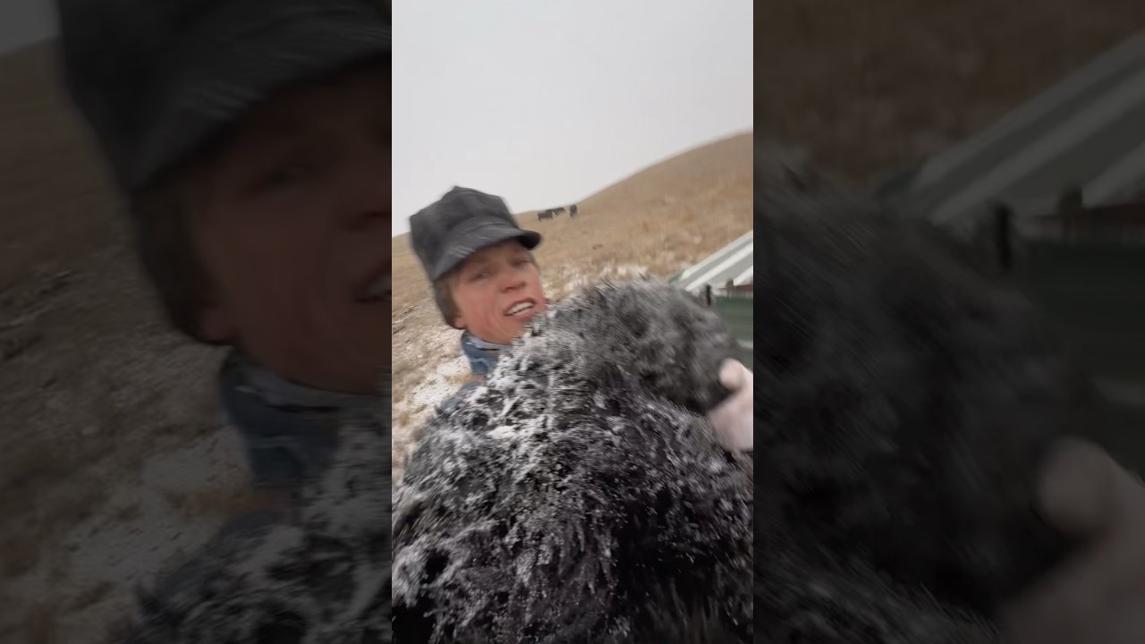 Poor little guy is half froze! 🧊