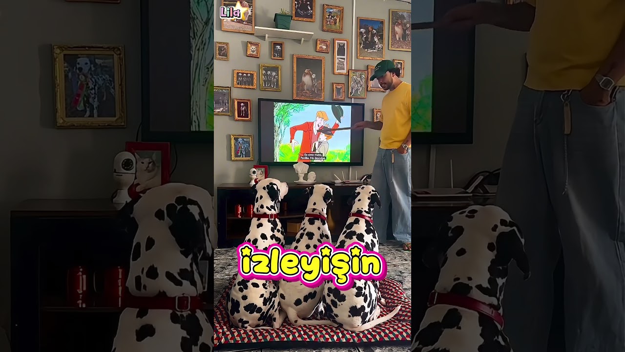 Bir Türlü Anlamıyorlar