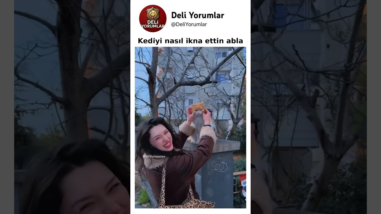 Ablanın sevdiği kedi bile sarı