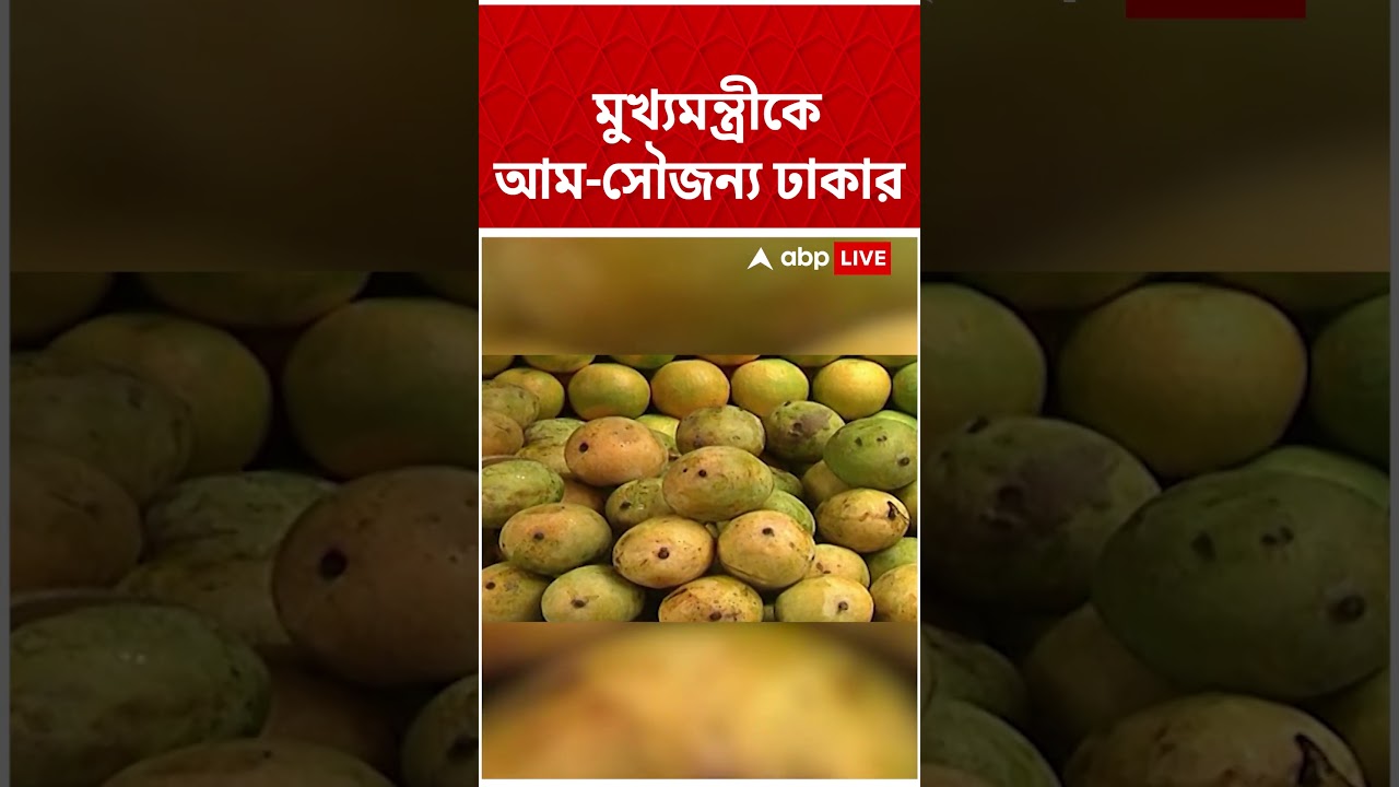 ৫০০ কেজি আম পাঠিয়ে মুখ্যমন্ত্রীকে মৈত্রীর বার্তা বাংলাদেশের #shorts #abpananda #suvenduadhikari #bjp