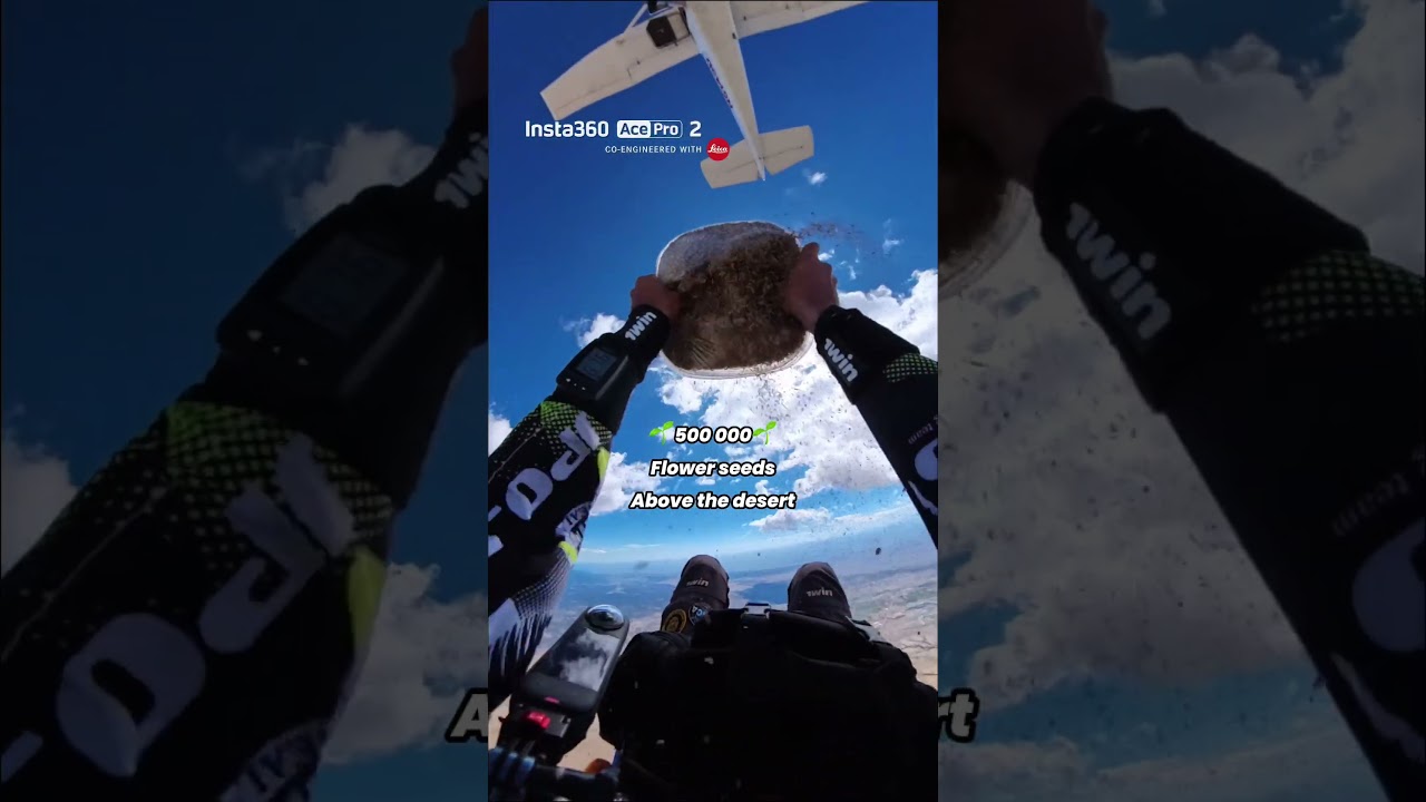 What if a skydive could grow a forest? 🌵 | Insta360 Ace Pro 2 #shorts