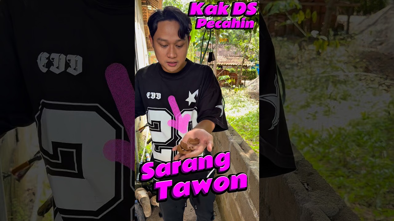 Kak DS Pecahin Sarang Tawon #comedy #minivlog #anakdesa #sarang #lebah